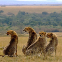 5N/6D DISCOVER KENYA - FAMILY TOUR